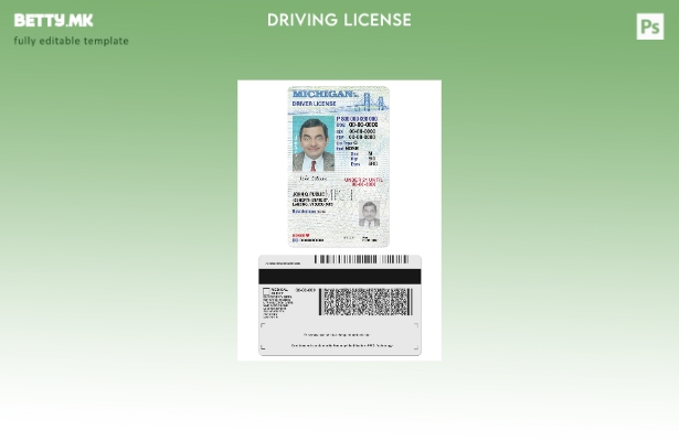 Возачка дозвола во модерен стил САД Мичиген под шаблон